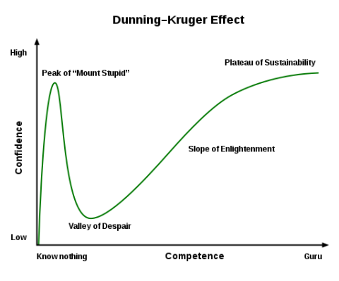 512px-dunningkruger-effect-01