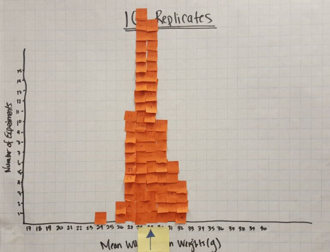 orange graph